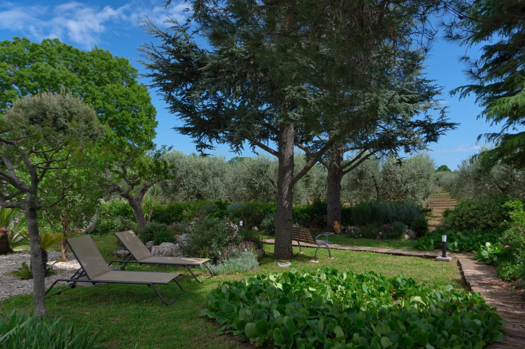 Agriturismo Masseria Aprile Locorotondo Luaran gambar